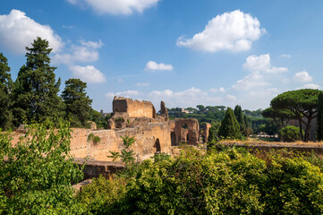 Fototapeta na wymiar Ruins of the Baths of Caracalla the most important baths of Rome at the time of the Roman Empire. The grandiose ruins of the majestic brick walls with blue sky vegetation, Rome, Lazio, Italy.