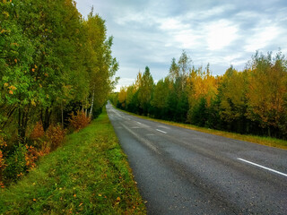 Unfocused background, forest road in fog