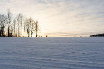 snow has fallen on a large Latvian cereal field, which will cover it white, but the sun is setting behind the hill