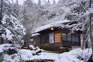 wooden house in the forest