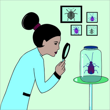 Entomologist Character Inspects And Studies Bugs . Woman With Professional Occupation. Flat Vector Illustration