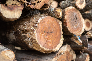 stack of firewood