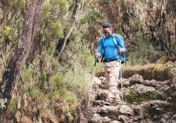 Papier Peint photo autocollant Kilimandjaro African-American ethnicity young man in sunglasses with trekking poles having a hiking walk on the route with a backpack in the forest to Mweka gate, Kilimanjaro. Active people and traveling concept.