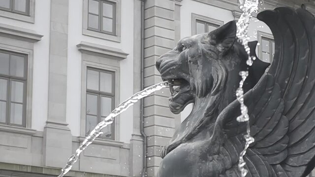 Fountain in the shape of a lion throwing water. Stone fountain in slow motion.