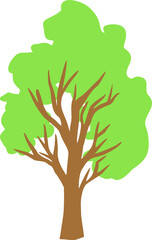 Tree vector . Illustration of a green tree. Image of a tree with foliage vector. Tree trunk vector. Nature. Ecology