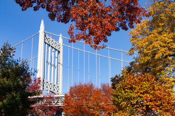 The Triborough Bridge Framed by Colorful Trees during Autumn at Astoria Park in Astoria Queens New York