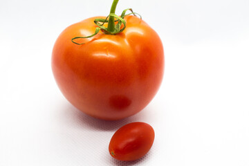 tomatoes on a white background