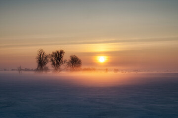 Frosty morning, arable fields in the morning fog and strong snow, Poland, Zulawy