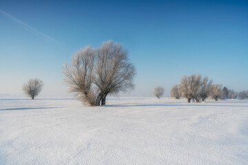 Frosty morning, arable fields in the morning fog and strong snow, Poland, Zulawy