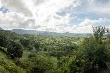 Obraz premium Rural landscape with green forest and cloudy sky