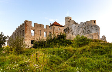 Fototapety na wymiar - Fototapeta24.pl