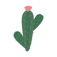 cactus hand drawn icon, colorful design