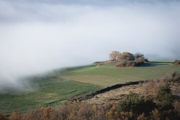 Mer de nuages envahissant une prairie