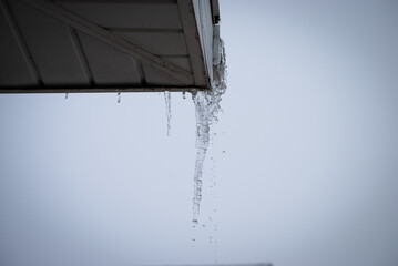 Icicles dripping from roof