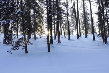 Trees covered with hoarfrost and snow in mountains. Sunset in a winter forest.