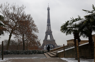 The black and white Eiffel tower with bare trees in winter, Paris, France.