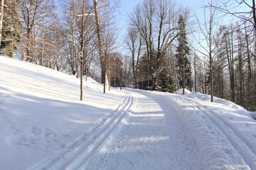 Countryside road through winter field with forest on a horizon