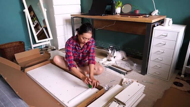 Asian woman with dog assembling furniture alone at home