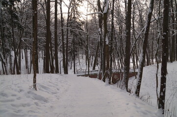 arched brick bridge in the winter park