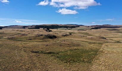 plateau de l'Aubrac en été