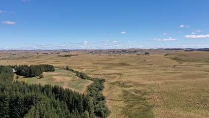 Obraz premium plateau de l'Aubrac en été