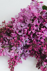 Lilac flowers on a white table. Free space for an inscription.