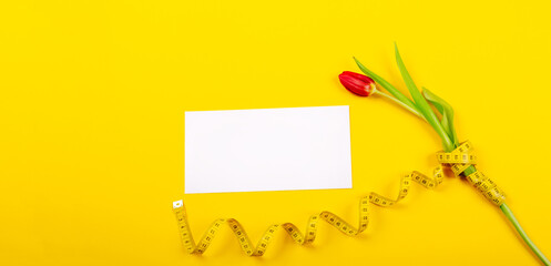 Tulip, white business card blank and centimeter tape on yellow background with copy space text place. Fitness greeting card. International holiday. Sewing handicraft hobby store. Slimming certificate