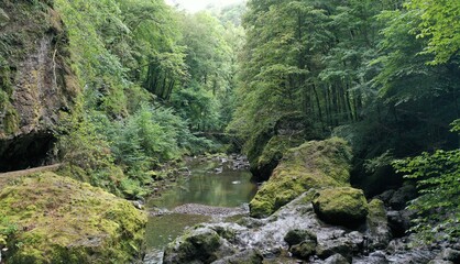 gorges du pas de la Cère dans le Cantal