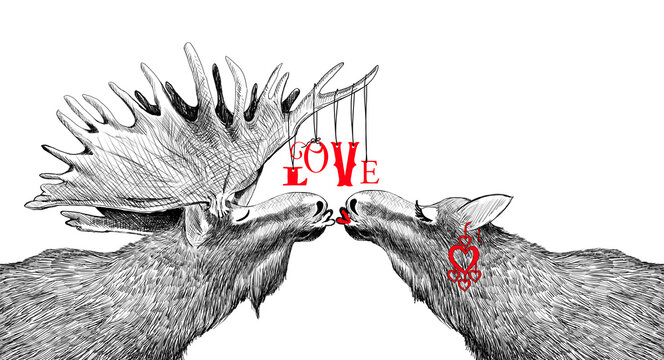Valentines day illustration of cute moose kissing and love typography design, valentine's day card or anniversary wedding or romantic hand drawn sketch