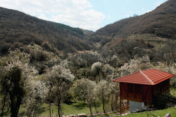 Spring is arriving in the mountains,  view of a mountain valley. 