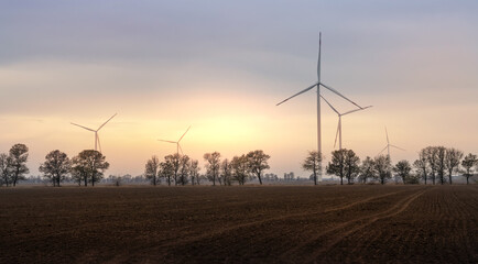 Field of wind turbine generators on the sunset sky. Horizontal photo
