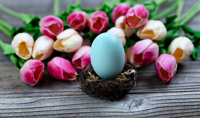 Fototapeta na wymiar Select focus of standing up egg in nest with tulips and rustic wood in background