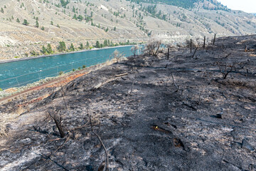 Fire damage along the Thompson River near Spences Bridge, British Columbia, Canada