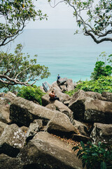 Wide view of burleigh headland cock rock