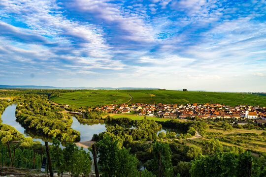 landscape with sunflowers Unterfranken, Germany, Mainschleife