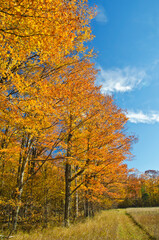 581-92 Autumn's Edge