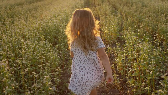 Little Girl Running Across The Field. Sun Over The Horizon. Girl Is Visible Only From The Back. Girl Looks Around.