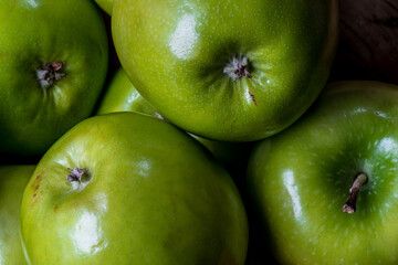 Granny Smith Apples (Malus domestica × Malus sylvestris)