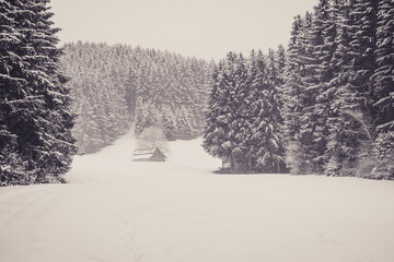 fantastic winter in the Black Forest excellent highlights.