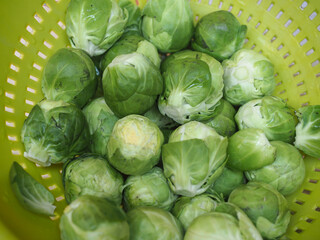 brussels sprout cabbage vegetables food