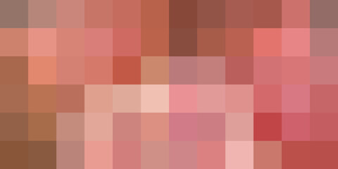 shades of pink brown makeup and lip color
