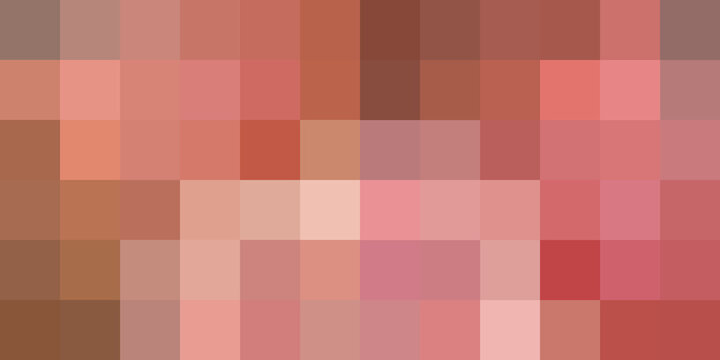 shades of pink brown makeup and lip color