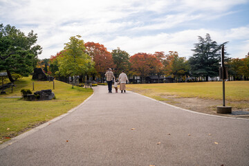 秋の公園で遊ぶ家族・ファミリー（後ろ姿）