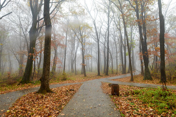 The beautiful autumn landcsape of Jinlong Mountain of Harbin, China.