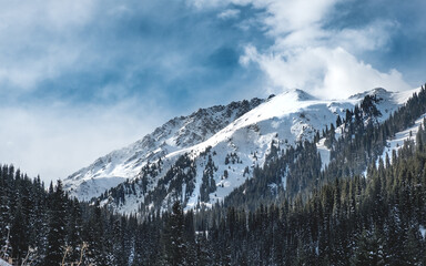 Winter sunny scenery snow sun shroud crushing