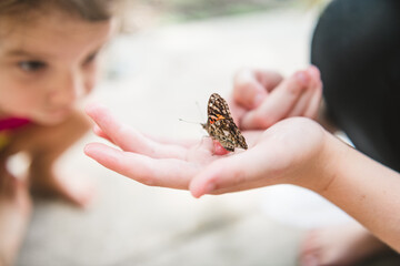 holding a butterfly