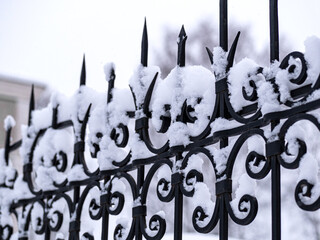 fragment of wrought metal black fence covered with snow