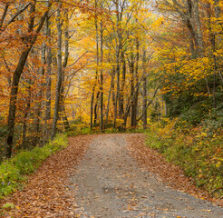 Fall Mountain Road