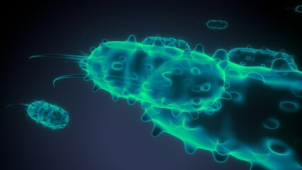 3d illustration of bacteria anatomy.