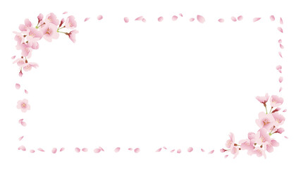Fototapeta na wymiar 桜の背景素材 可憐、清楚イメージ タイトル枠（白背景 16:9比率）